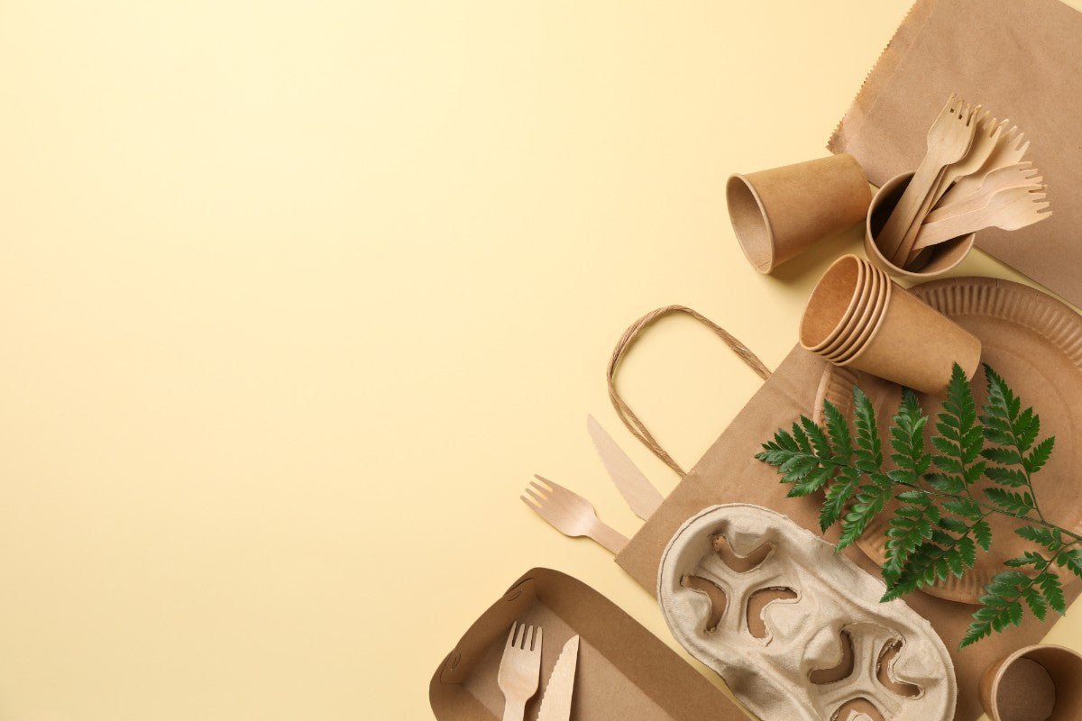 Biodegradable Food Packaging - Is it Safe to Use? - PackQueen