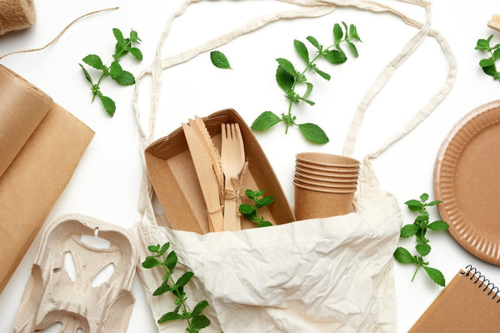 Brights-inspired eco food packaging - PackQueen
