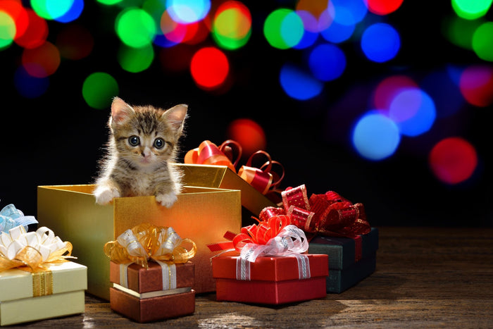 Gift Ideas for a New Year's Party - PackQueen