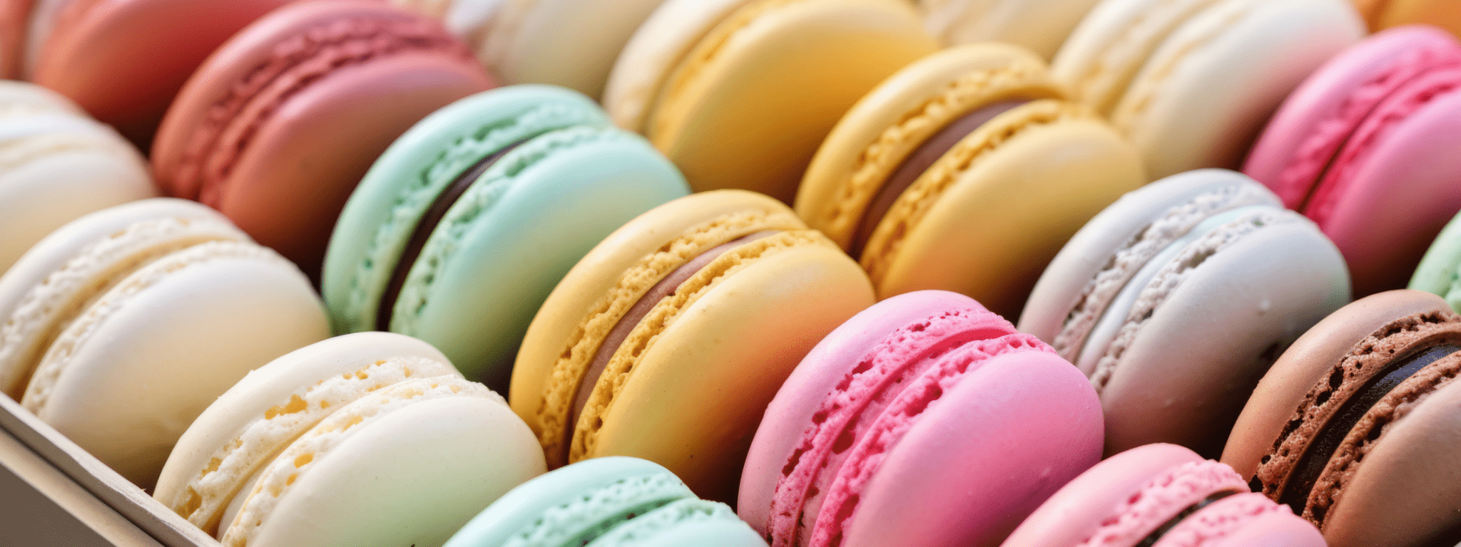 Assorted Food Packaging - PackQueen