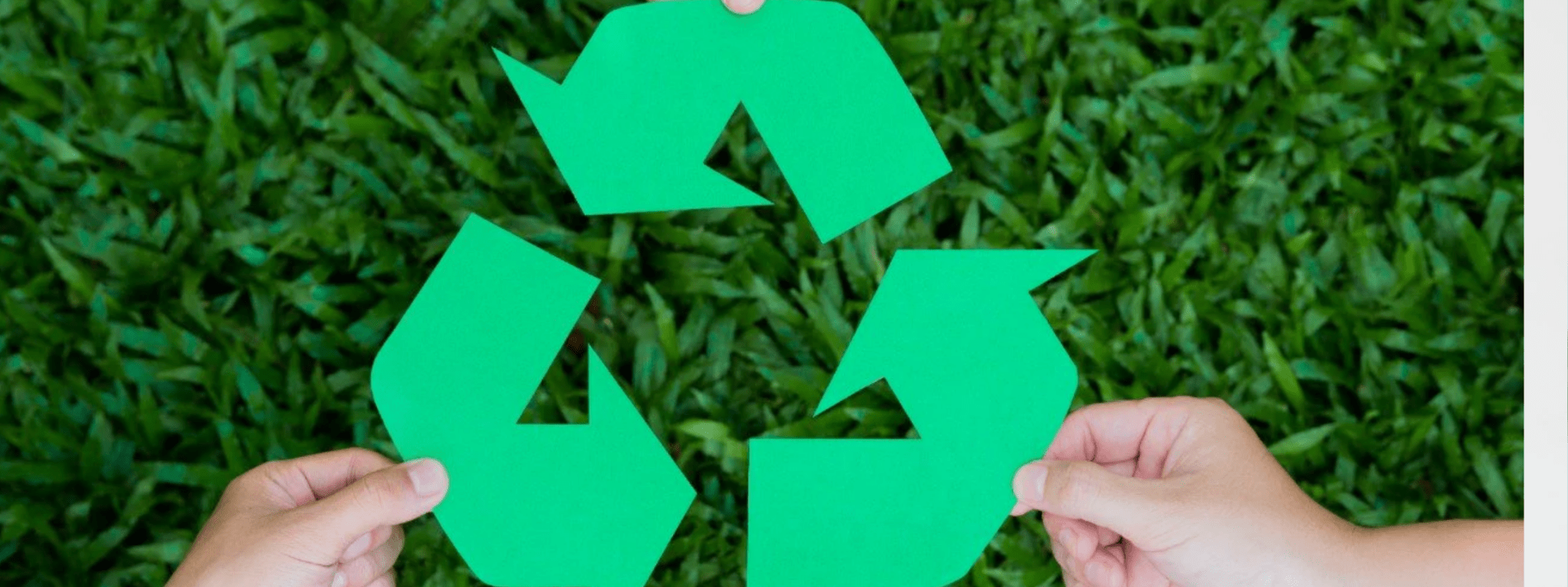 Biodegradable Plastic Bags - PackQueen