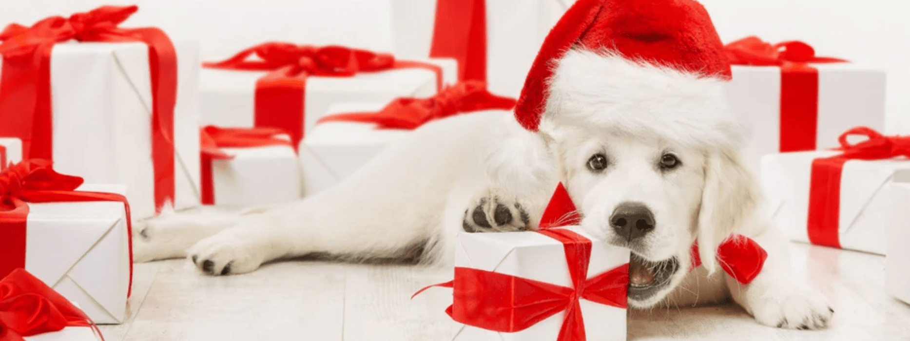 Christmas Gift Boxes