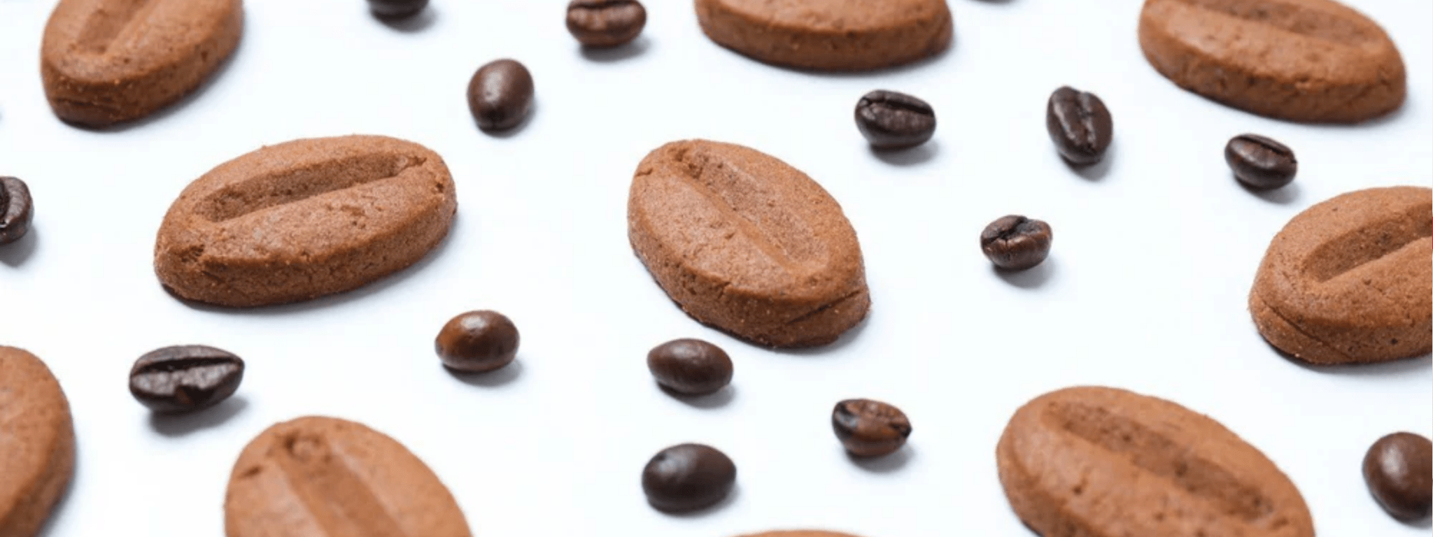Coffee & Biscuit Paper Bags - PackQueen