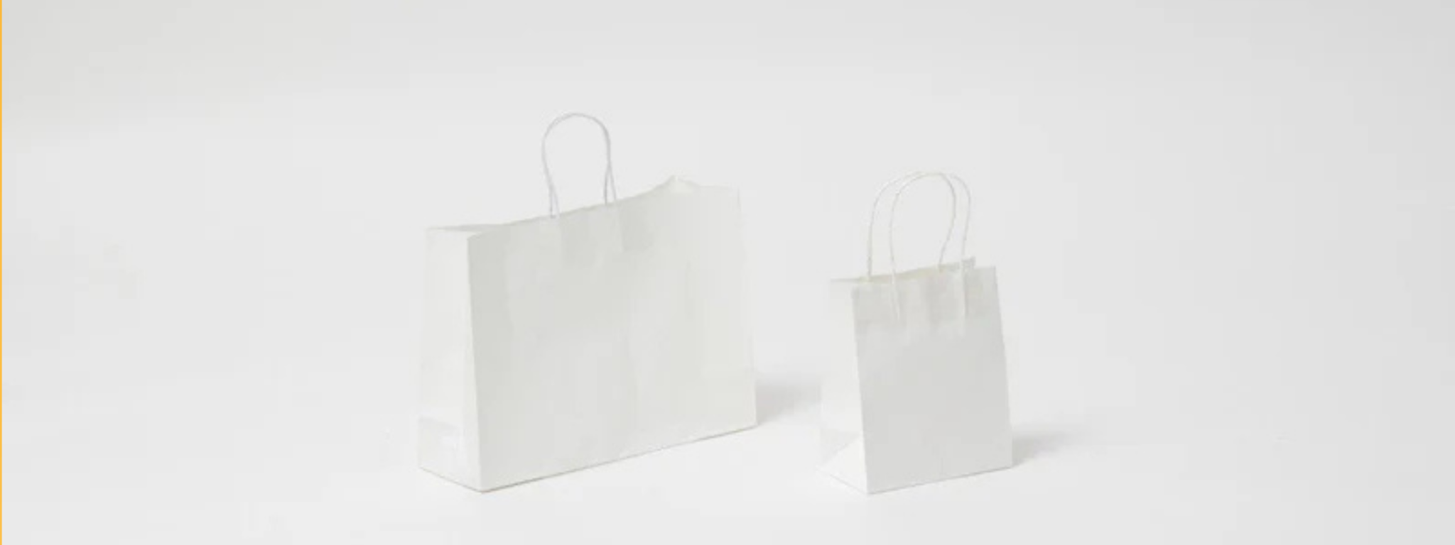 Kraft White Paper Gift Bags - PackQueen