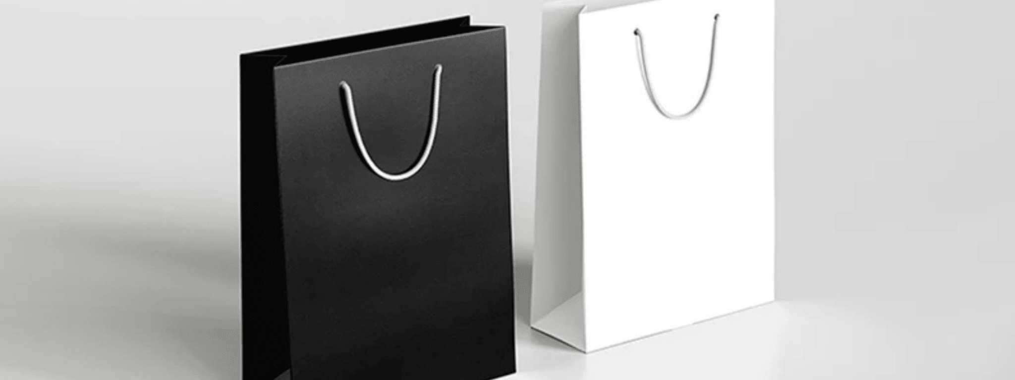 Premium Laminated Gloss and Matte Gift Bags - PackQueen