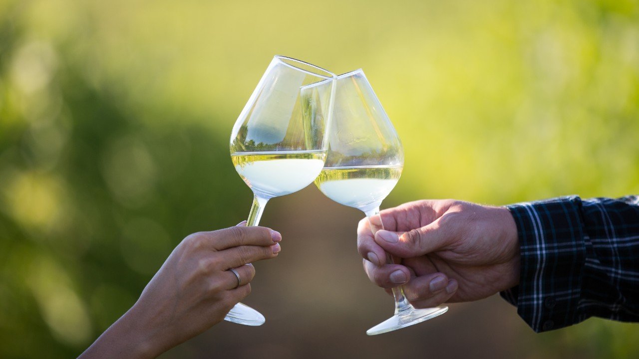 White Wine - Two Glasses - PackQueen