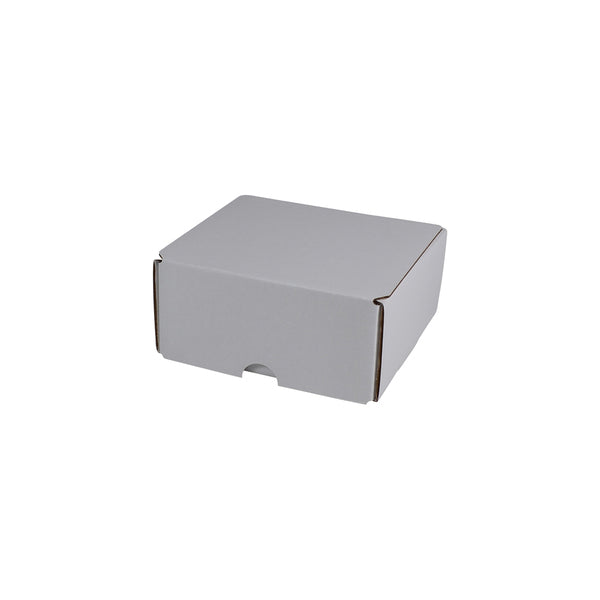 2 Beer Can Mailing Box