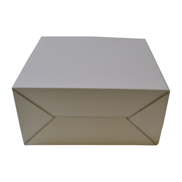 Surprise Delivery Box Small 8671