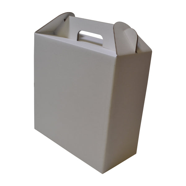 Surprise Delivery Box Large 8674