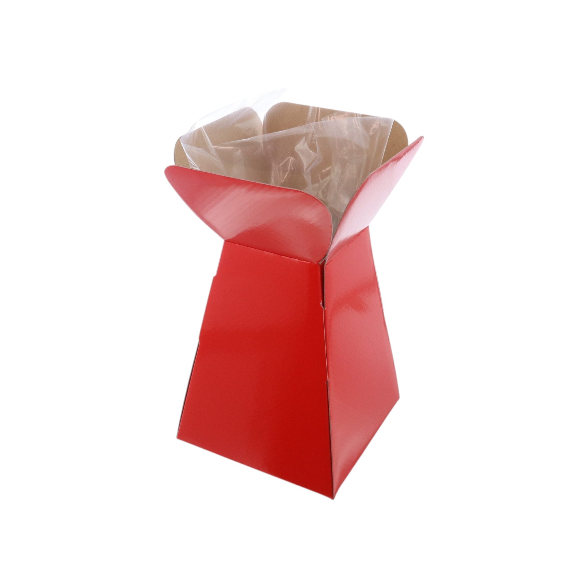 Large Vase Box with Bag - Value Range - PackQueen