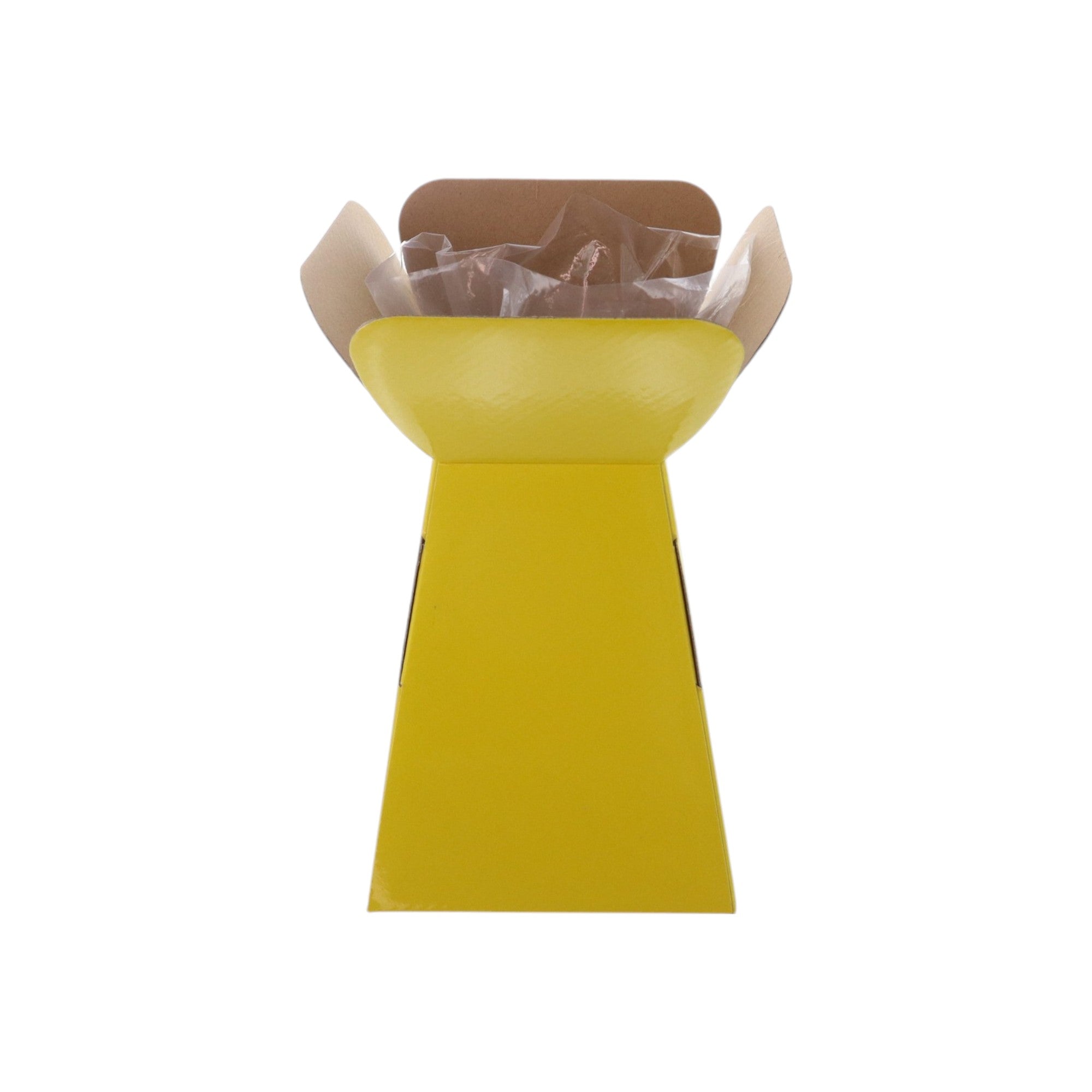 Large Vase Box with Bag - Value Range - PackQueen