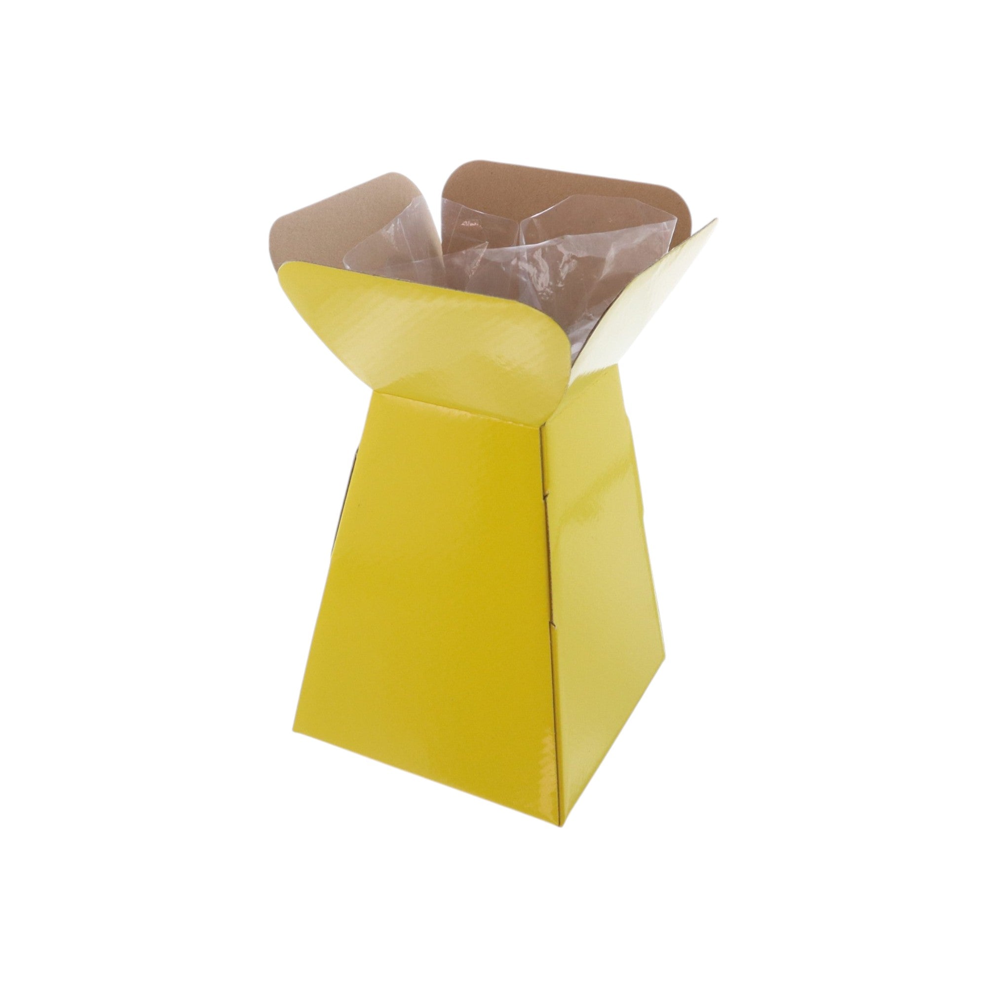 Large Vase Box with Bag - Value Range - PackQueen