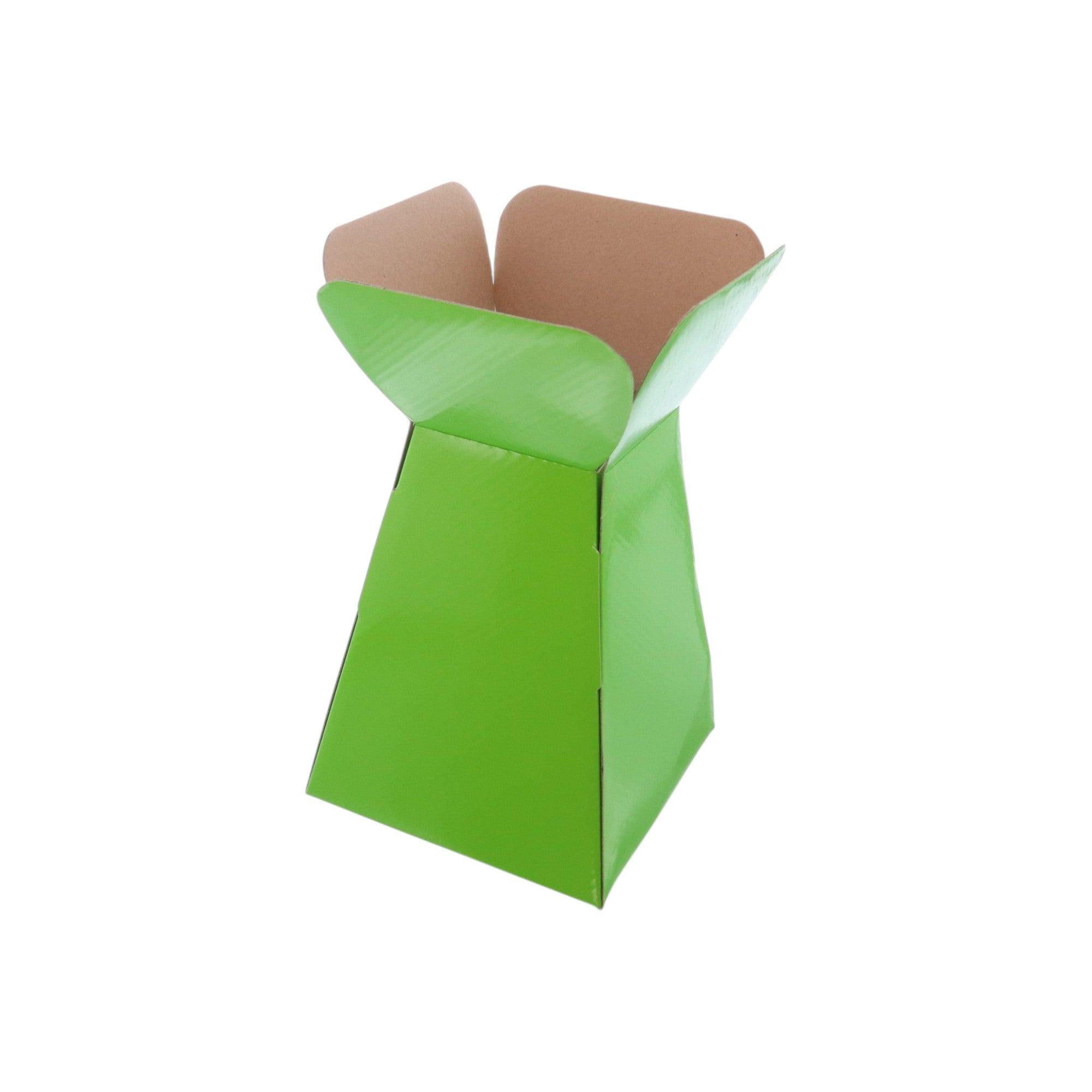 Large Vase Box with Bag - Value Range - PackQueen