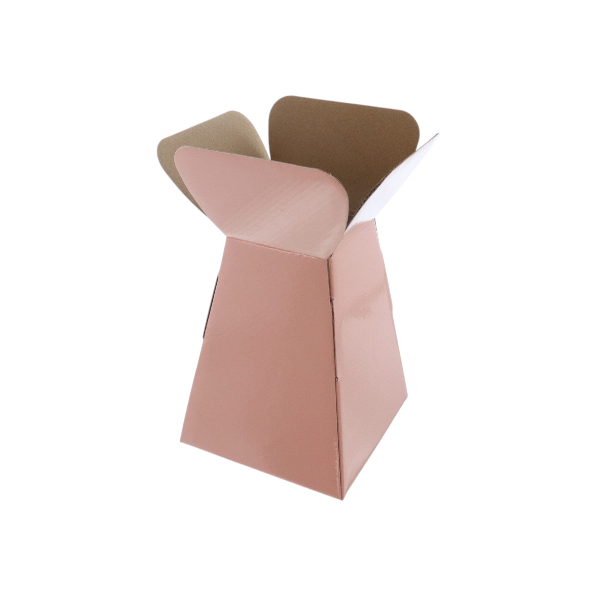 Large Vase Box with Bag - Value Range - PackQueen