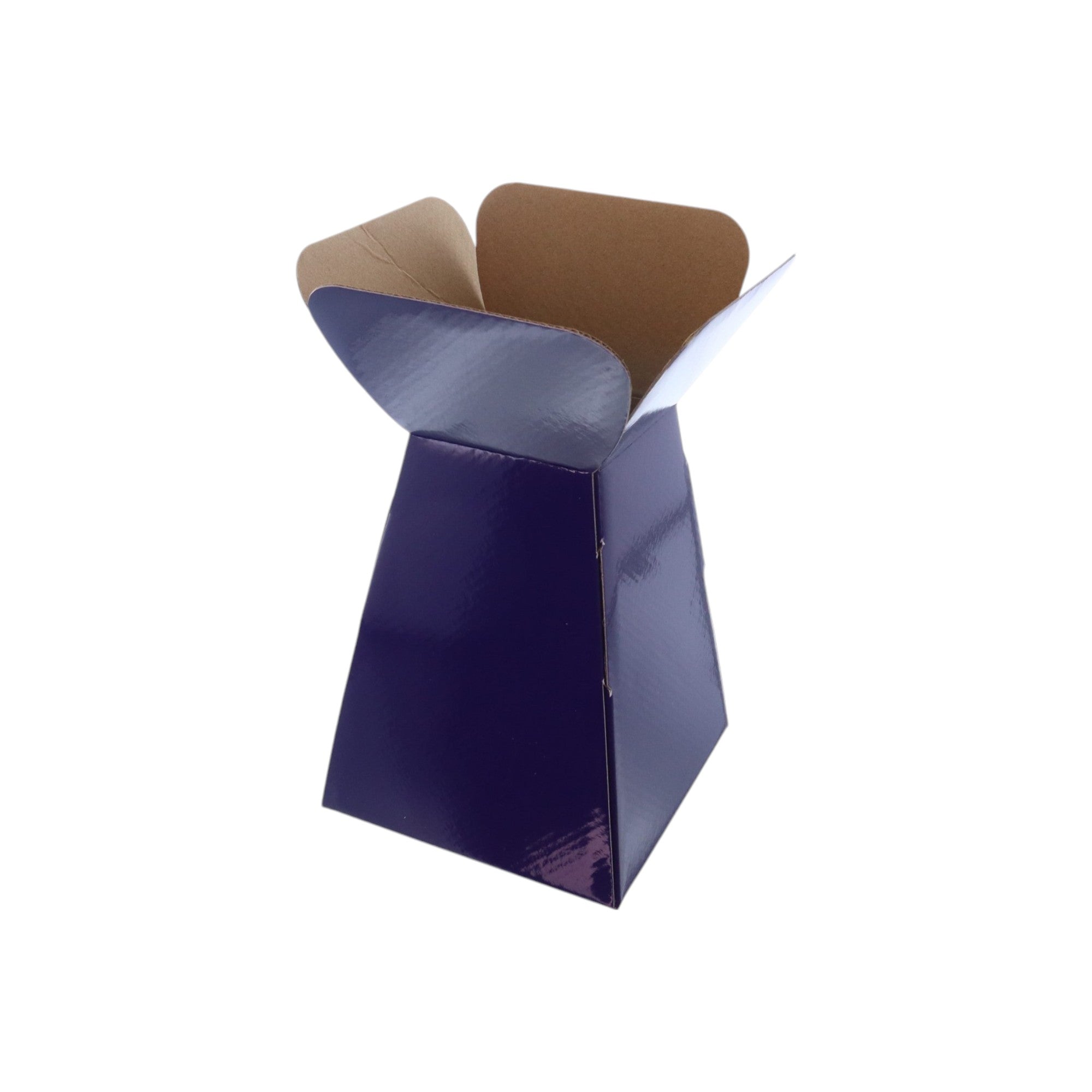 Large Vase Box with Bag - Value Range - PackQueen
