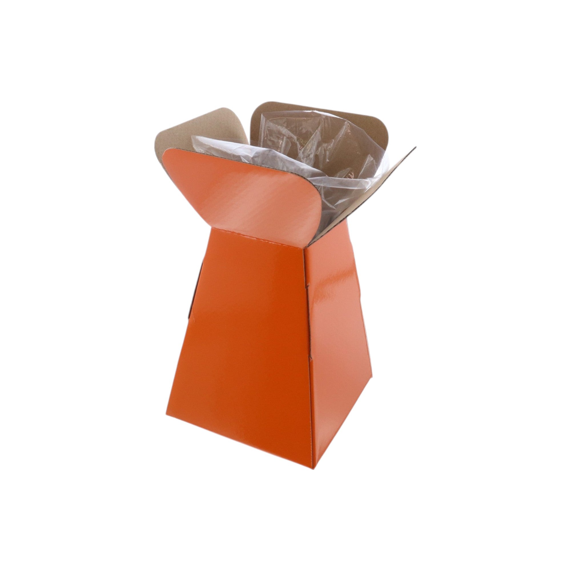 Large Vase Box with Bag - Value Range - PackQueen