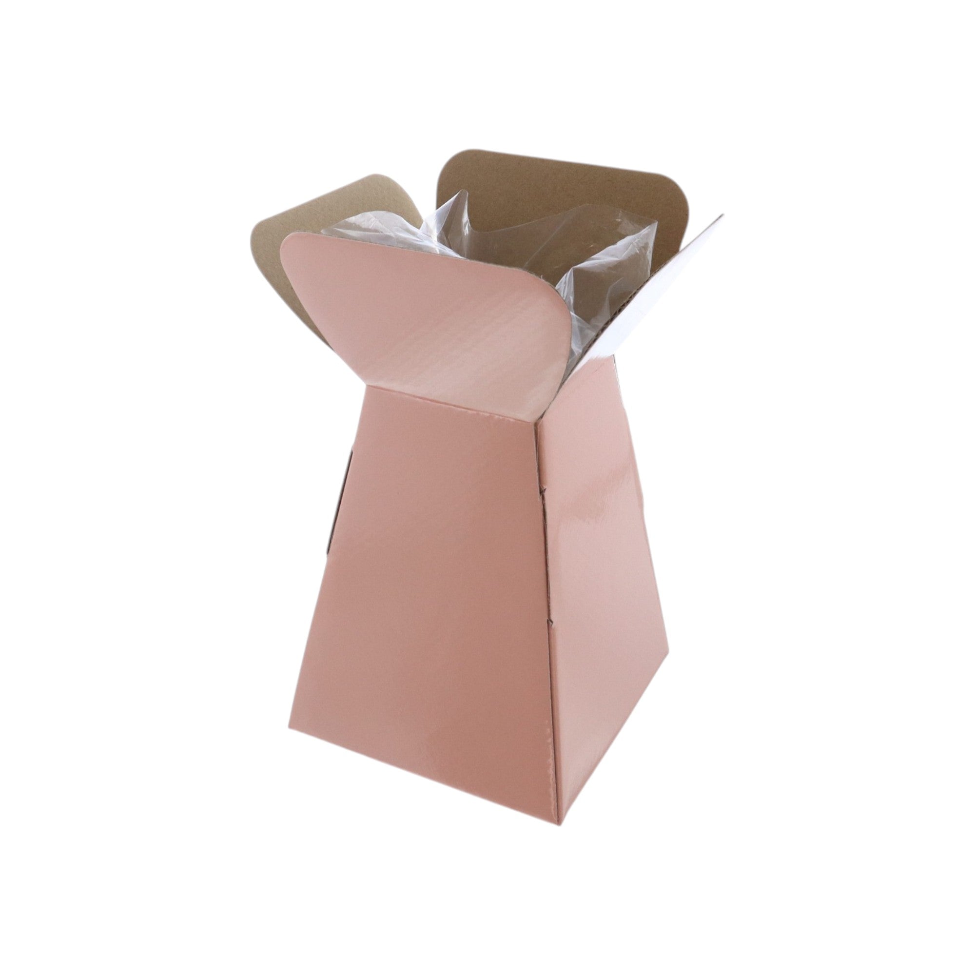 Large Vase Box with Bag - Value Range - PackQueen