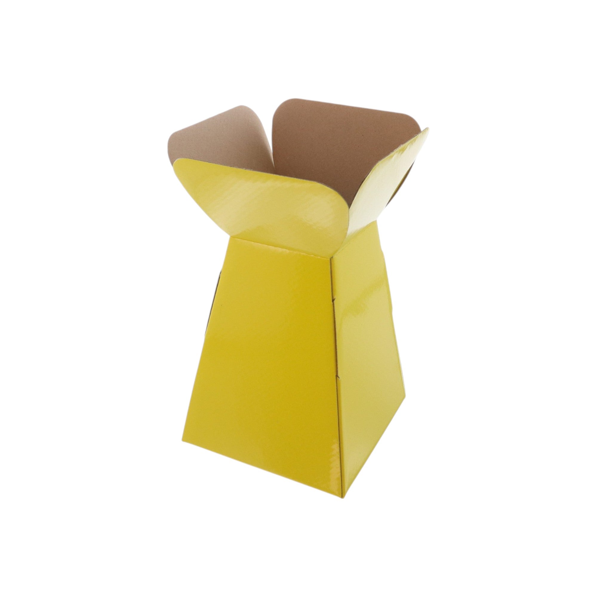 Large Vase Box with Bag - Value Range - PackQueen