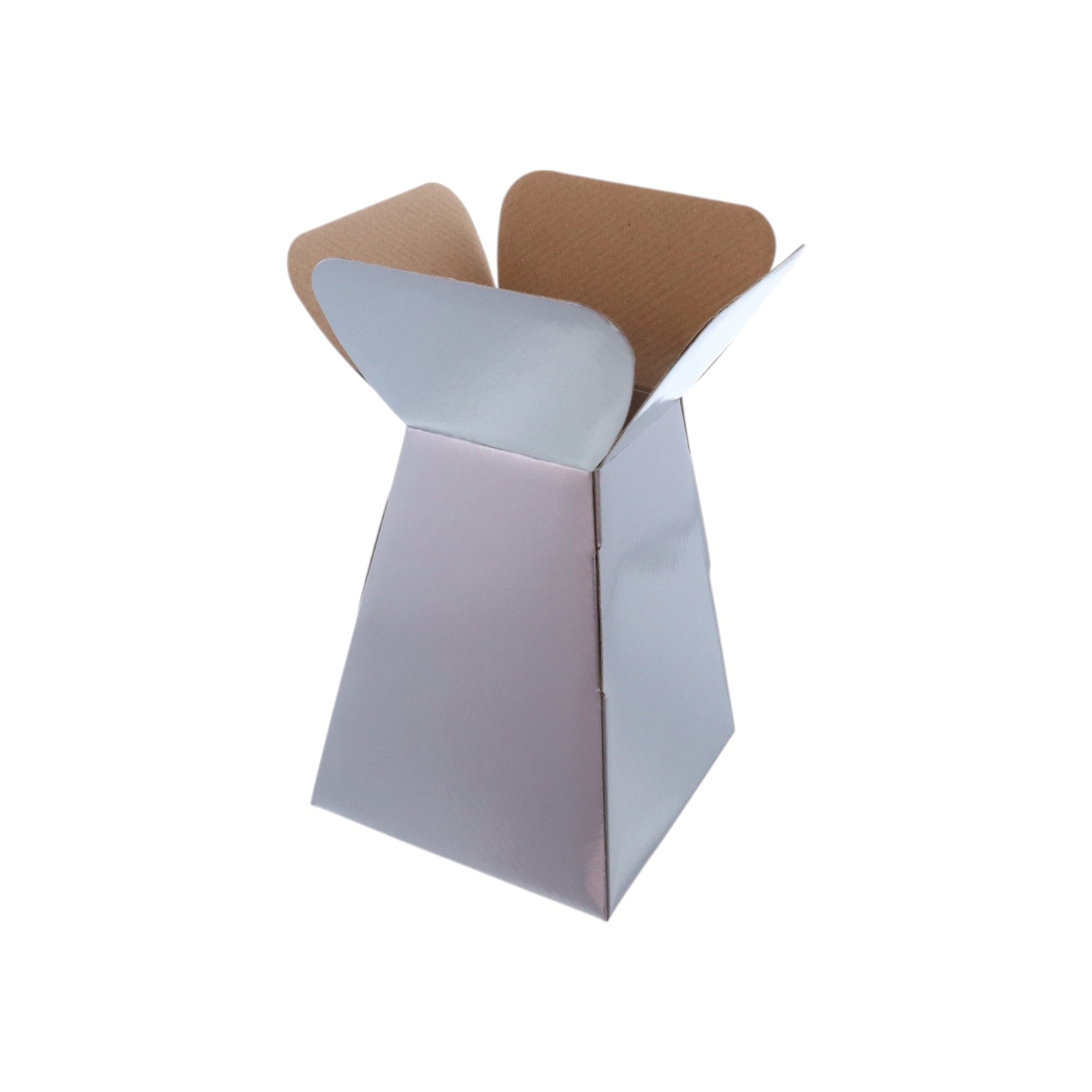 Large Vase Box with Bag - Value Range - PackQueen