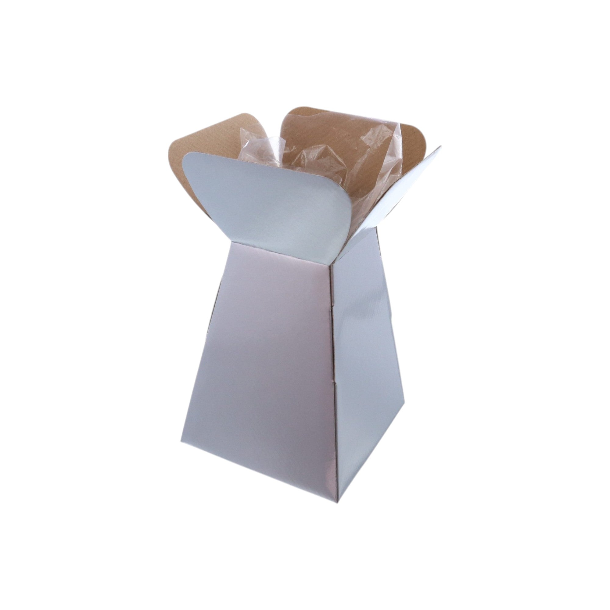 Large Vase Box with Bag - Value Range - PackQueen