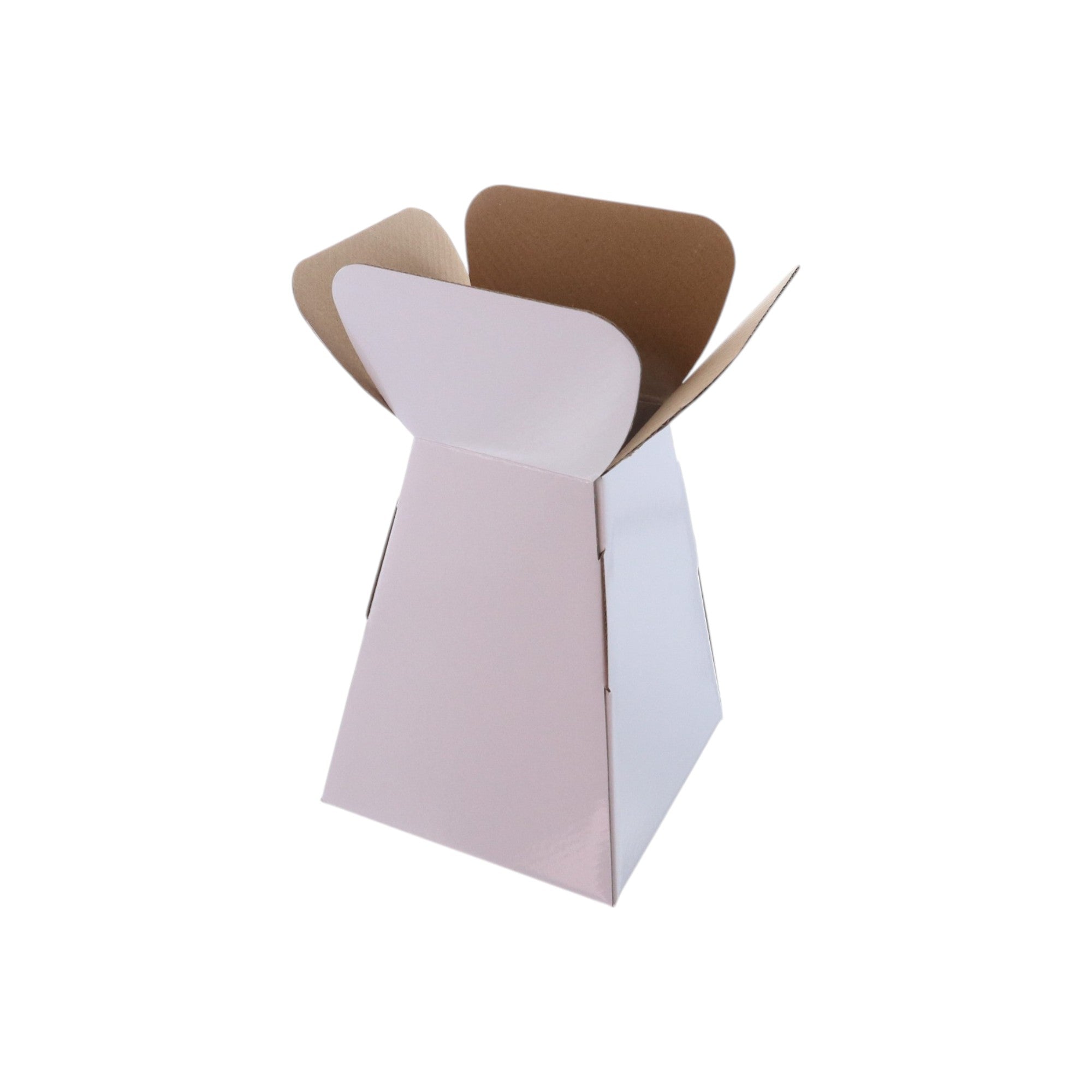 Large Vase Box with Bag - Value Range - PackQueen