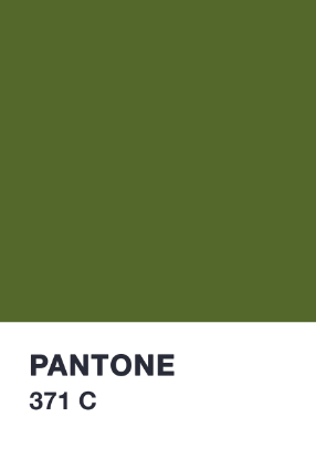 Olive Green Tissue Paper - 500 x 750mm (Bulk 480 Sheets) - PackQueen