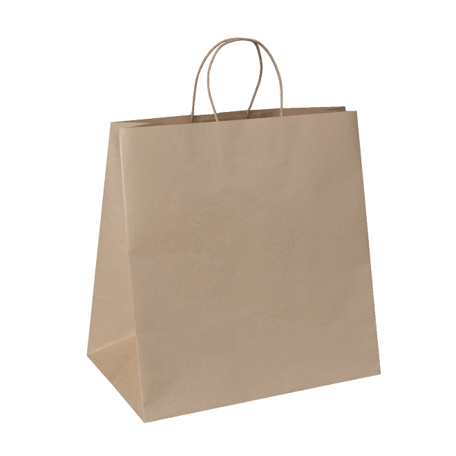 Paper Twist Carry Bags - Assorted Sizes Available - PackQueen