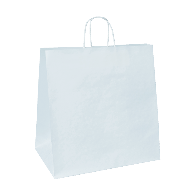Paper Twist Carry Bags - Assorted Sizes Available - PackQueen