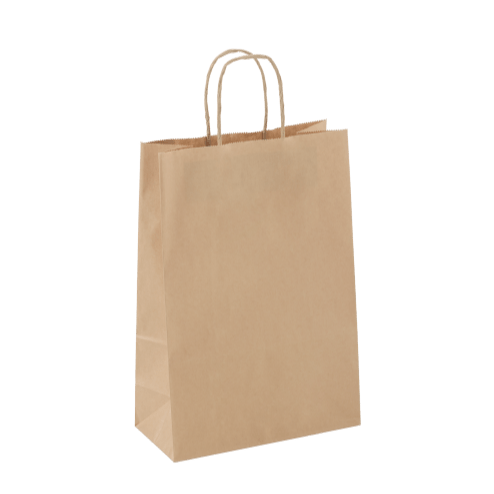 Paper Twist Carry Bags - Assorted Sizes Available - PackQueen