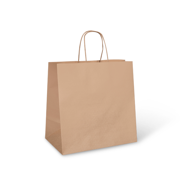 Paper Twist Carry Bags - Assorted Sizes Available - PackQueen