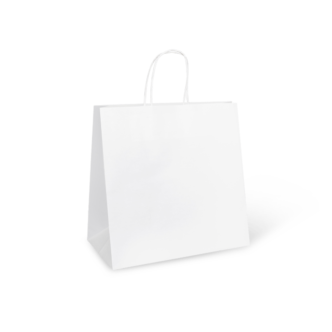 Paper Twist Carry Bags - Assorted Sizes Available - PackQueen