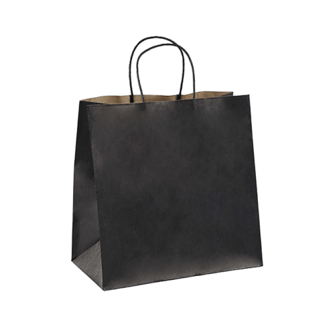 Paper Twist Carry Bags - Assorted Sizes Available - PackQueen