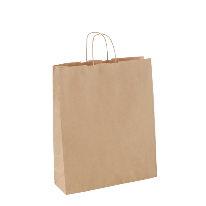 Paper Twist Carry Bags - Assorted Sizes Available - PackQueen