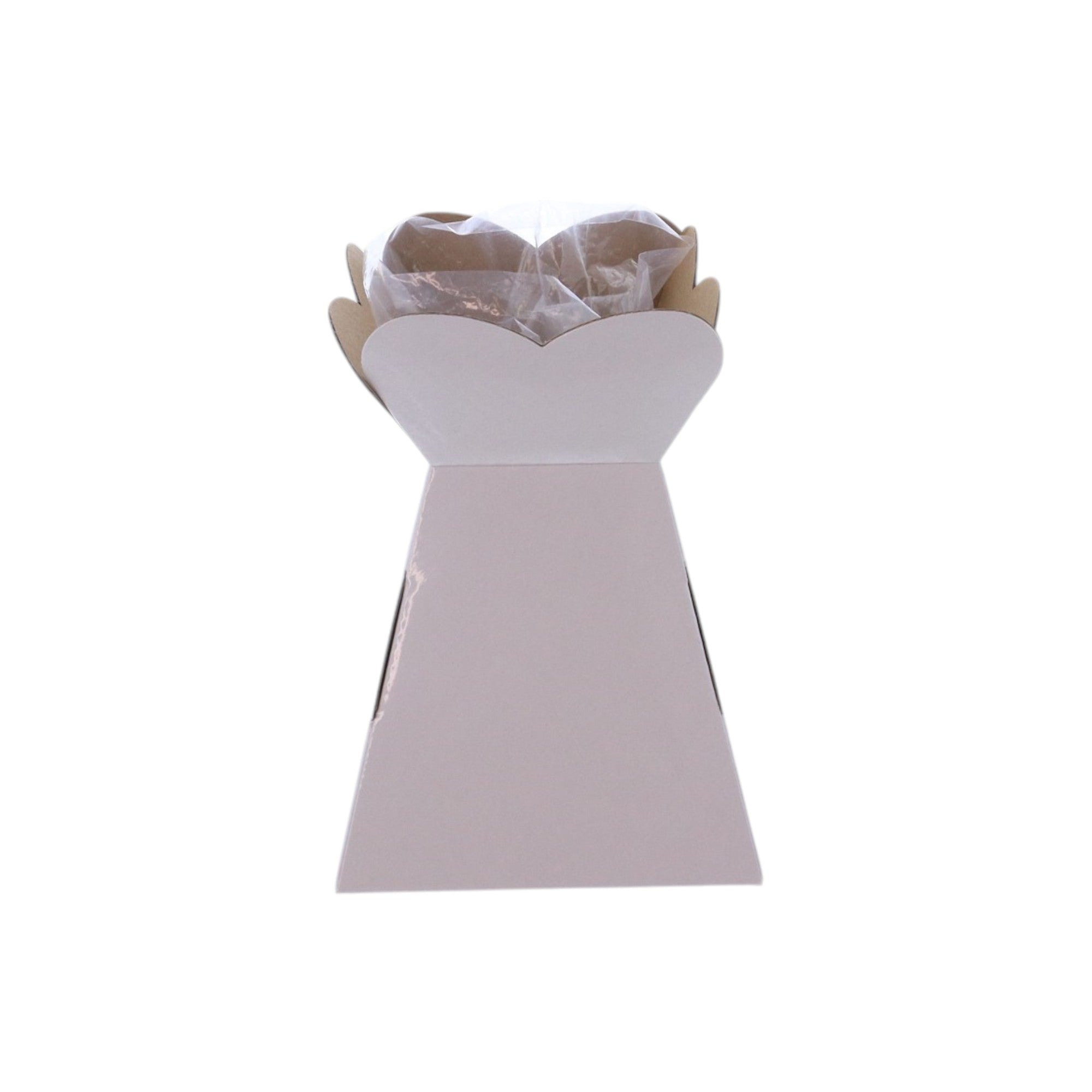 SAMPLE - Small Vase Box with Bag - Budget Imported Product - PackQueen
