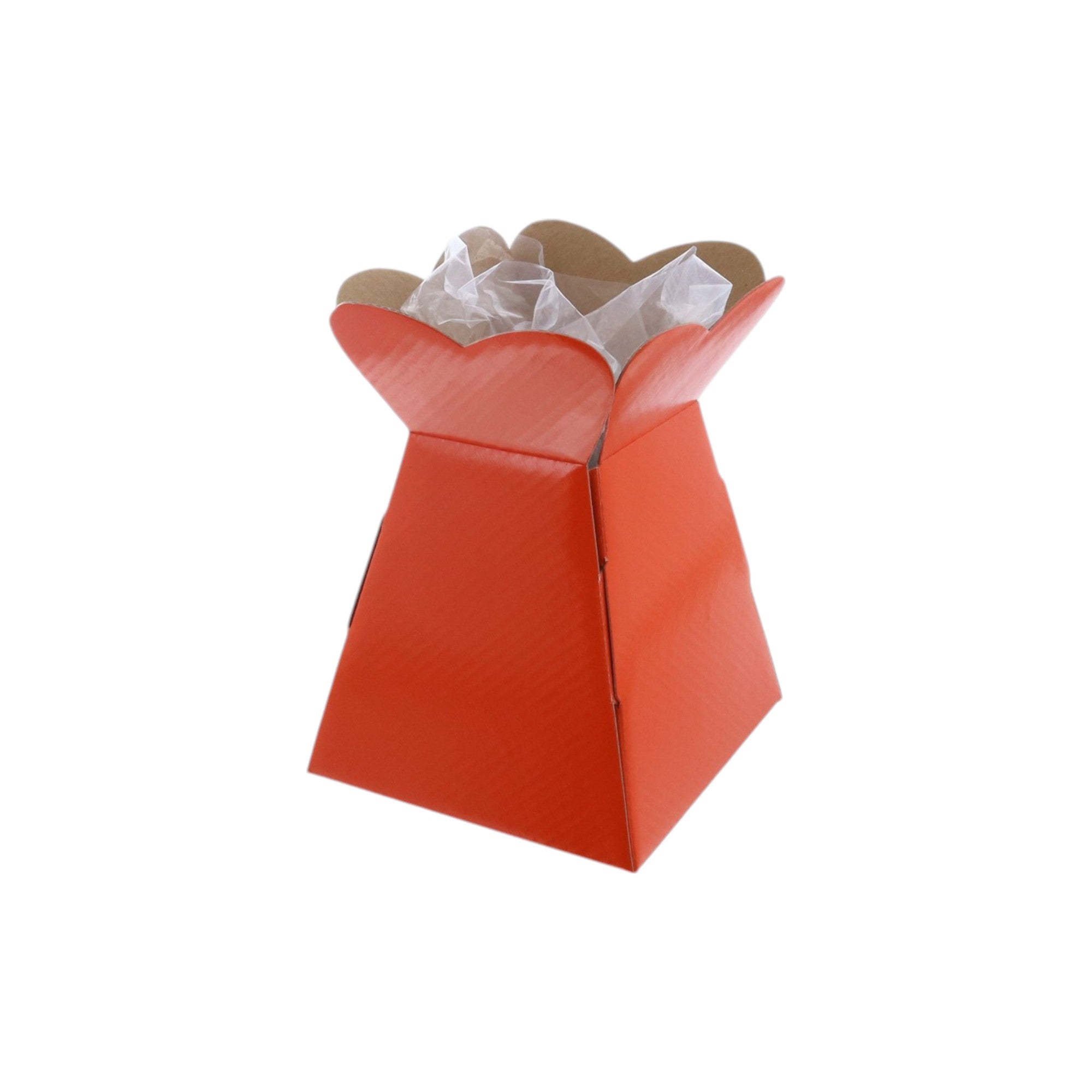 Small Vase Box with Bag - Value Range - PackQueen