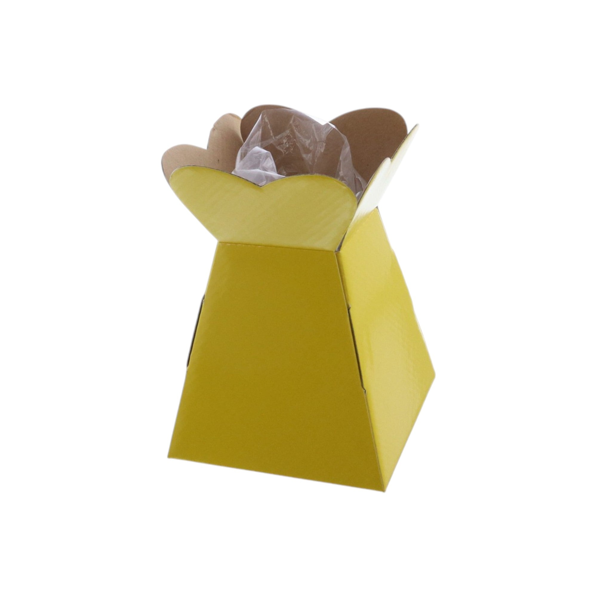 Small Vase Box with Bag - Value Range - PackQueen