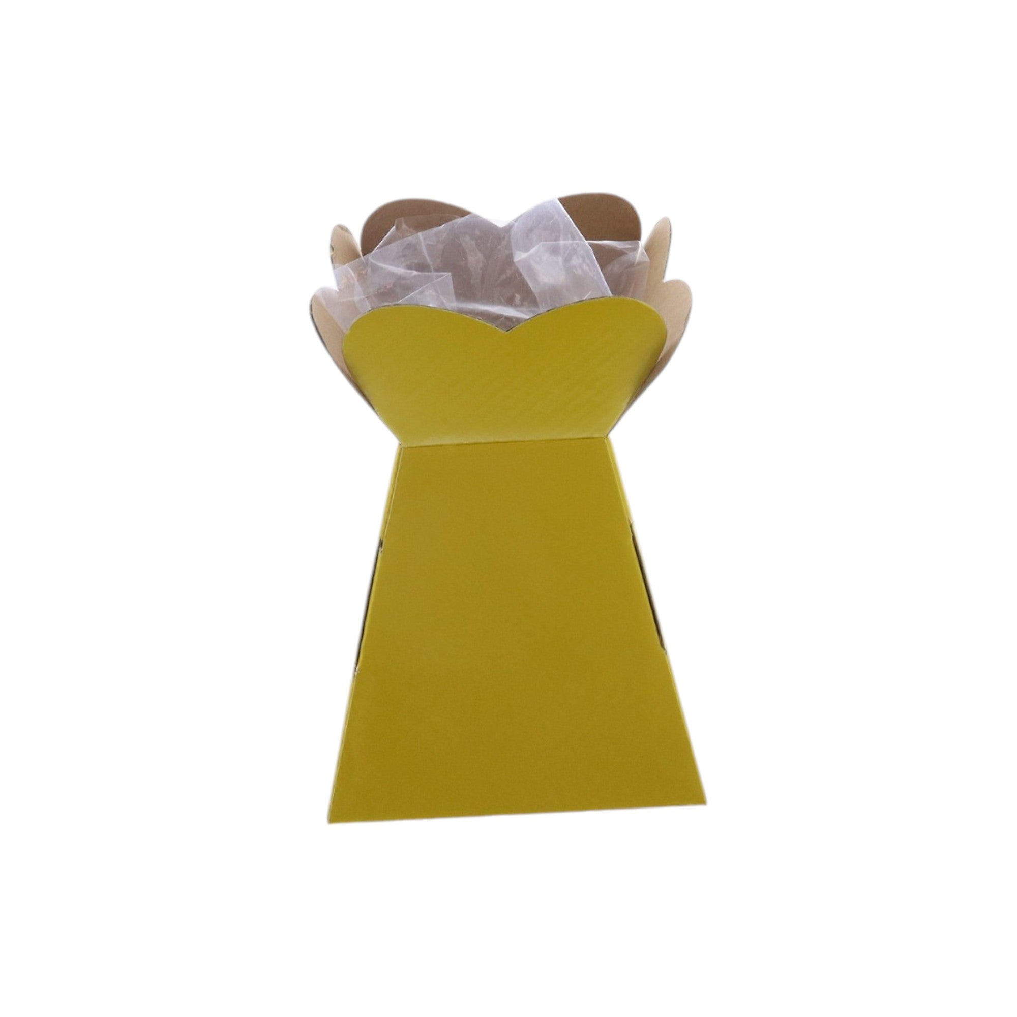 Small Vase Box with Bag - Value Range - PackQueen