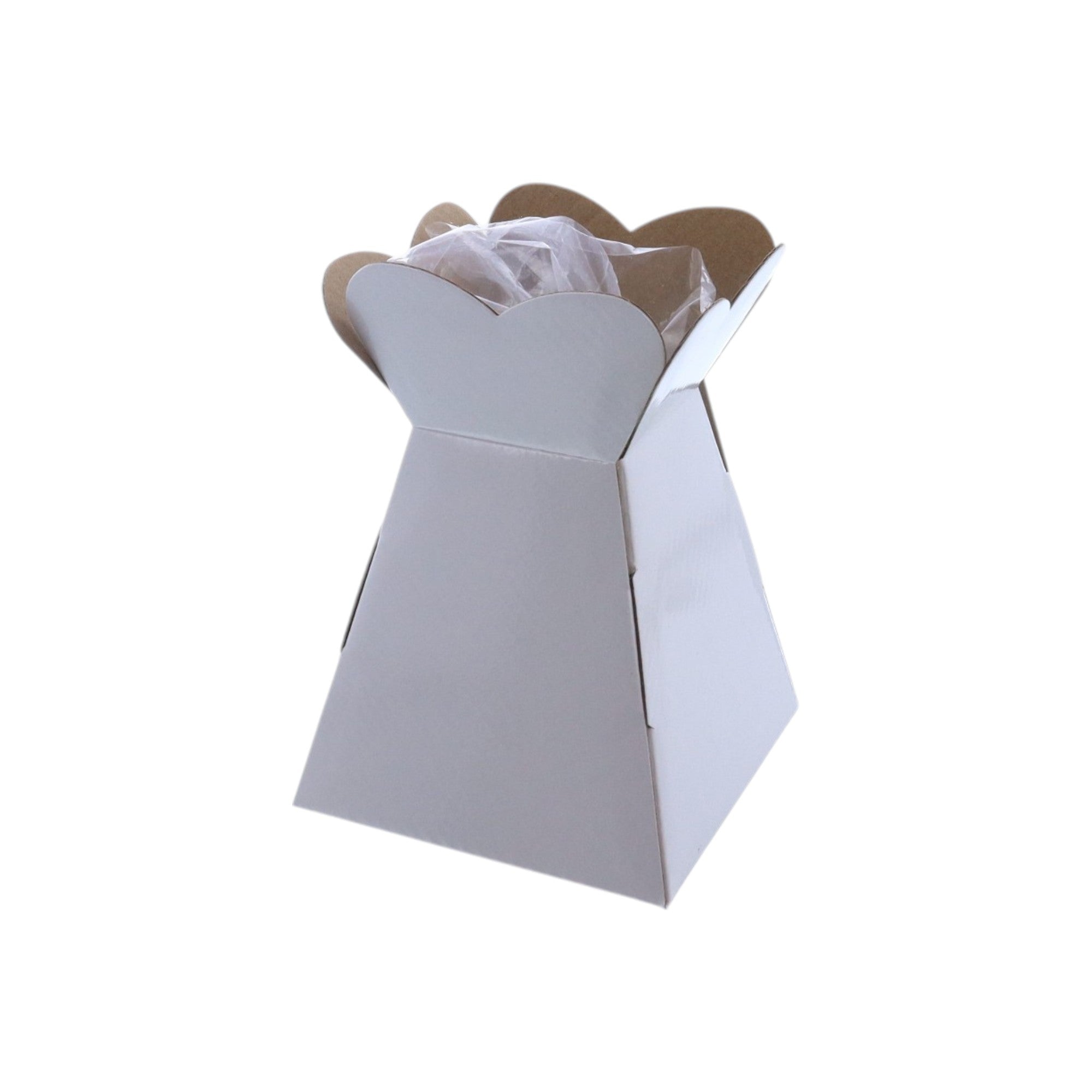 Small Vase Box with Bag - Value Range - PackQueen