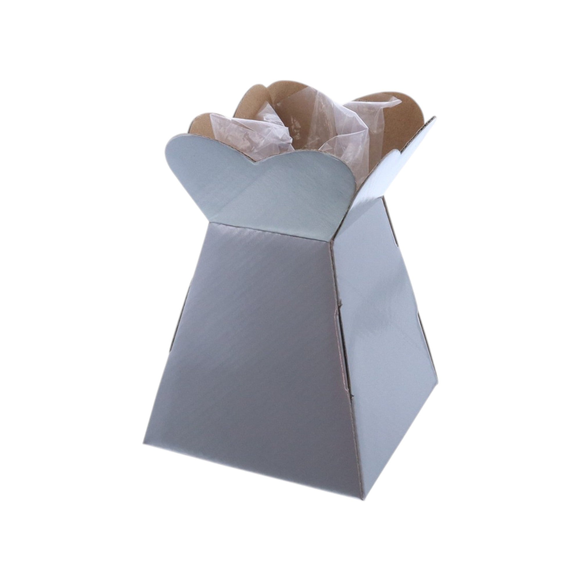 Small Vase Box with Bag - Value Range - PackQueen