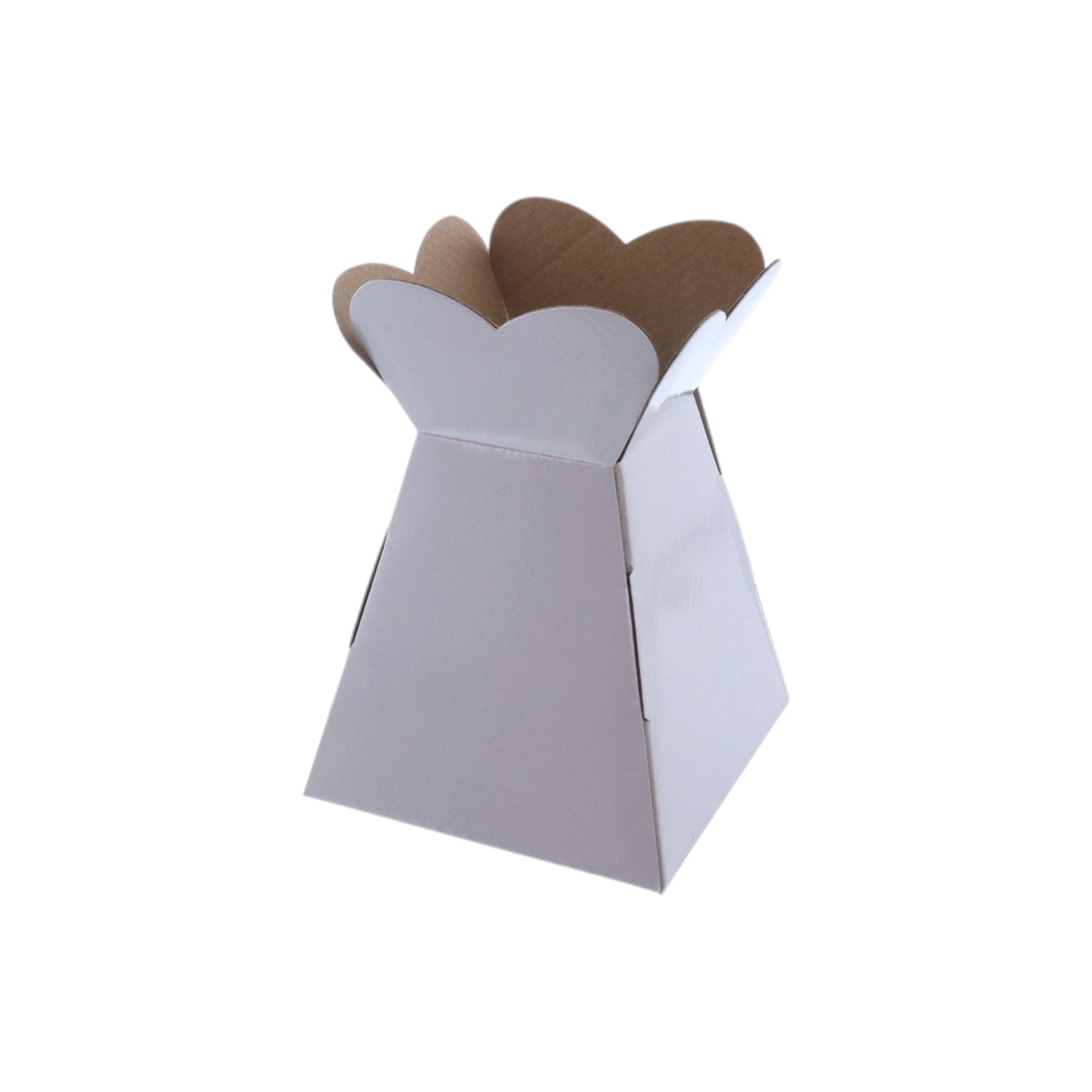 Small Vase Box with Bag - Value Range - PackQueen