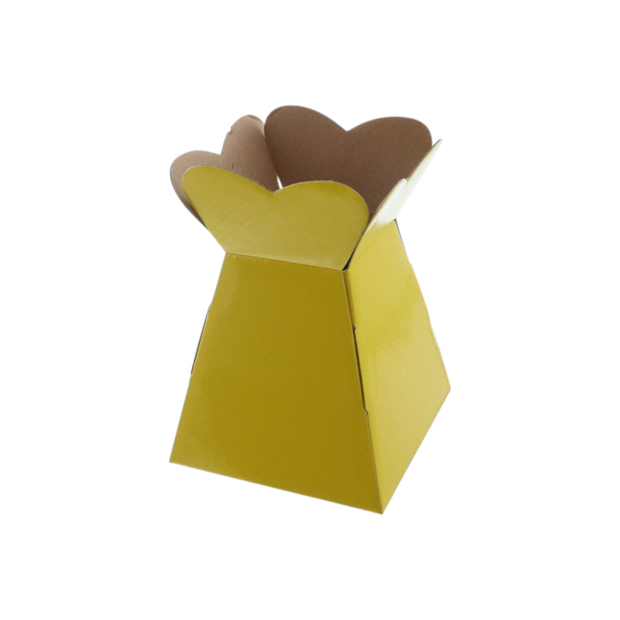 Small Vase Box with Bag - Value Range - PackQueen