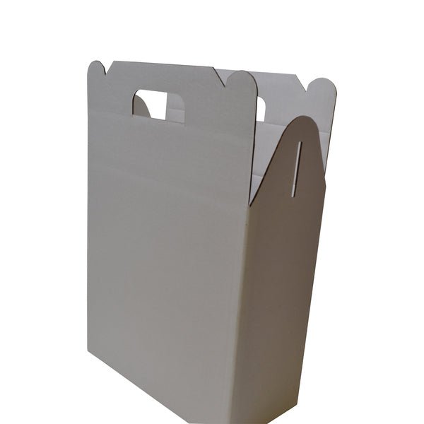 Surprise Delivery Box Large 8674 - PackQueen