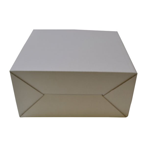 Surprise Delivery Box Large 8674 - PackQueen