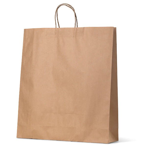 Large Brown Kraft Paper Gift Bag - 250 PACK - PackQueen