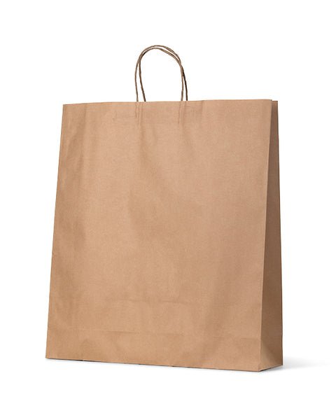 Large Brown Kraft Paper Gift Bag - 250 PACK - PackQueen