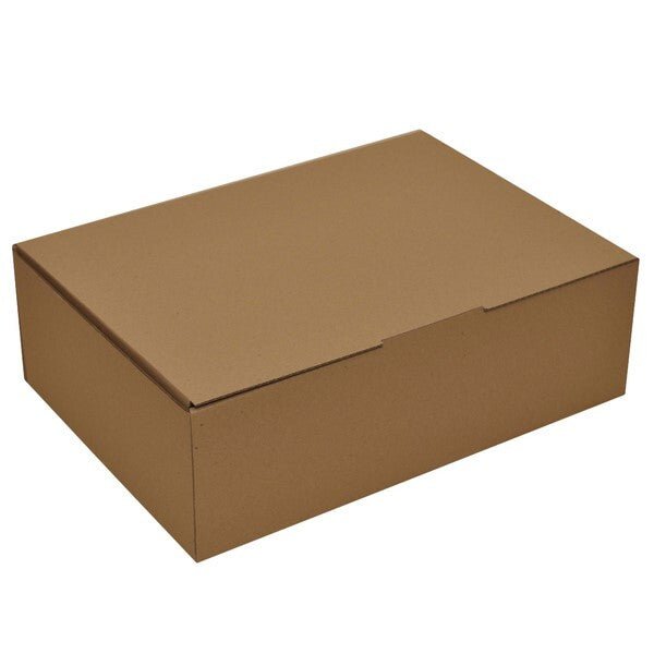 Large Postage Box (BXP4) [Express Value Buy] - PackQueen