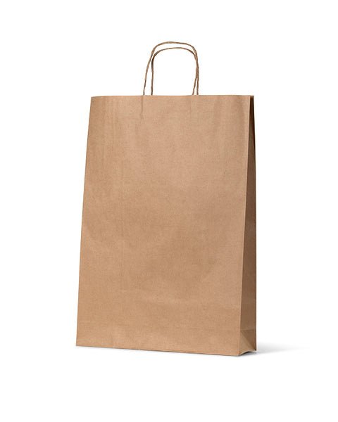 Medium Brown Kraft Paper Gift Bag - 250 PACK - PackQueen