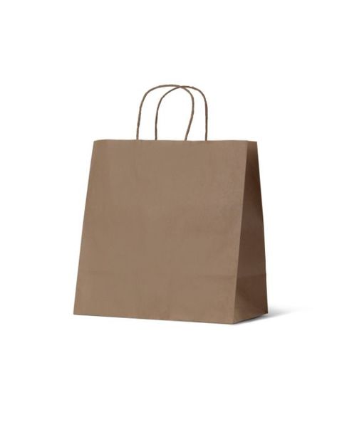 Medium Takeaway Kraft Brown Paper Gift Bag - 250PK - PackQueen