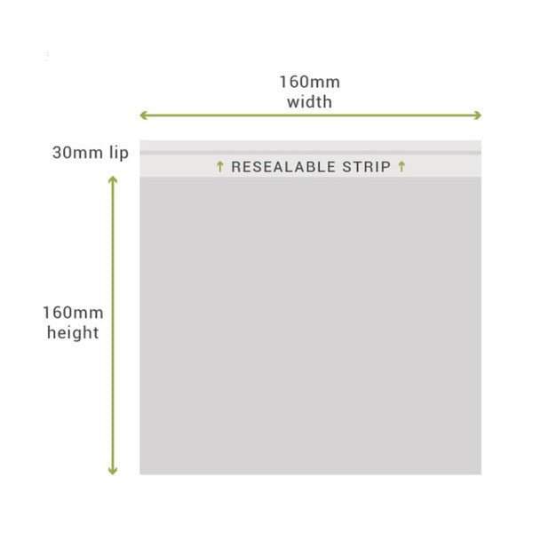SAMPLE - 160mm x 160mm + 30mm Lip Clear Resealable Bags - PackQueen