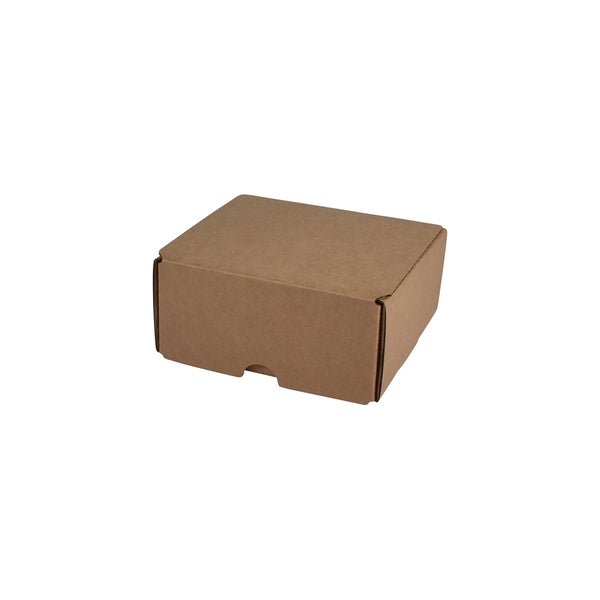SAMPLE - B Flute - 2 Beer Can Shipper Box - Kraft Brown - PackQueen